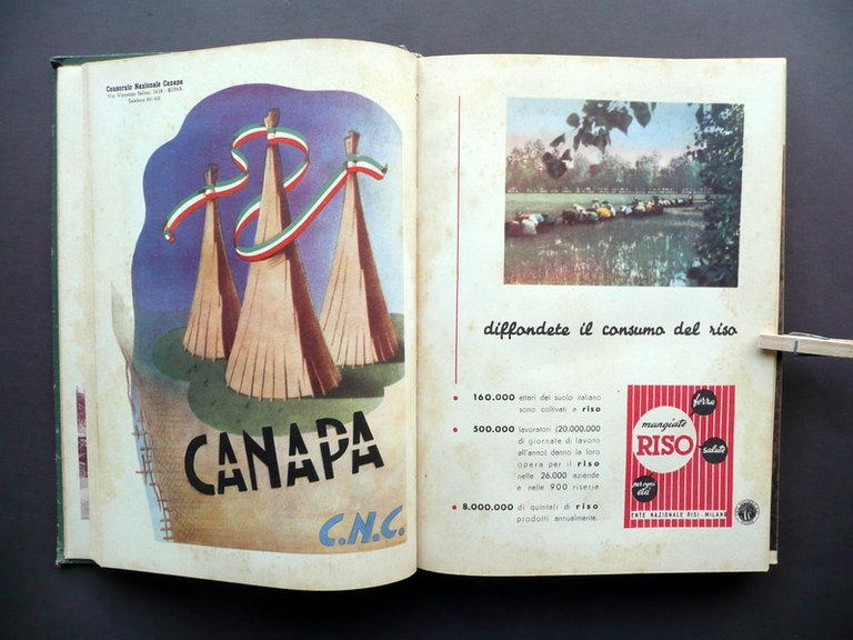Annuario Generale dell'Agricoltura Italiana S.E.R.G.A. Roma 1952 Tavole Grafica