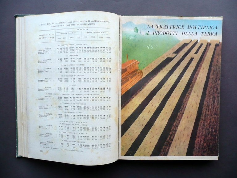 Annuario Generale dell'Agricoltura Italiana S.E.R.G.A. Roma 1952 Tavole Grafica