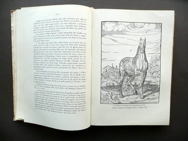 Annuario Veterinario Italiano 1934 1935 Sindacato Nazionale Veterinari Roma | Immagine Gallery 7