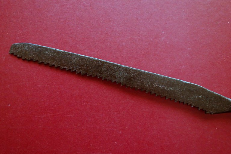 Antico Seghetto in Ferro Battuto Originale '600 XVII Secolo Chirurgico(?) | Immagine Gallery 4