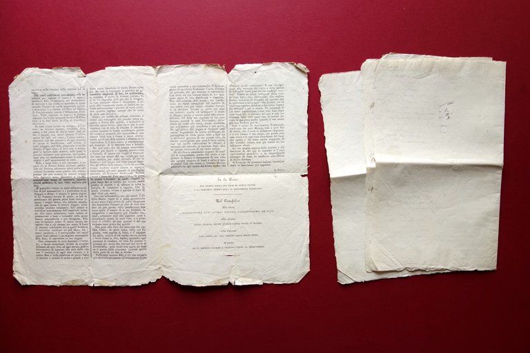 Antonietta Ferroni Tommasini Manoscritto Biografia Necrologia 1839 M. Leoni | Immagine Gallery 2