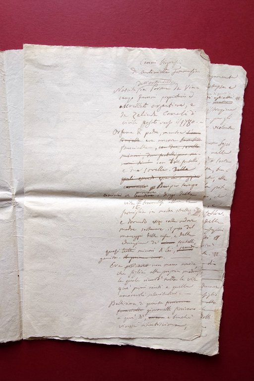 Antonietta Ferroni Tommasini Manoscritto Biografia Necrologia 1839 M. Leoni | Immagine Gallery 3