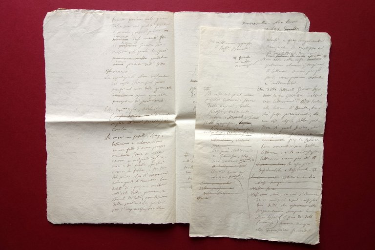 Antonietta Ferroni Tommasini Manoscritto Biografia Necrologia 1839 M. Leoni | Immagine Gallery 4