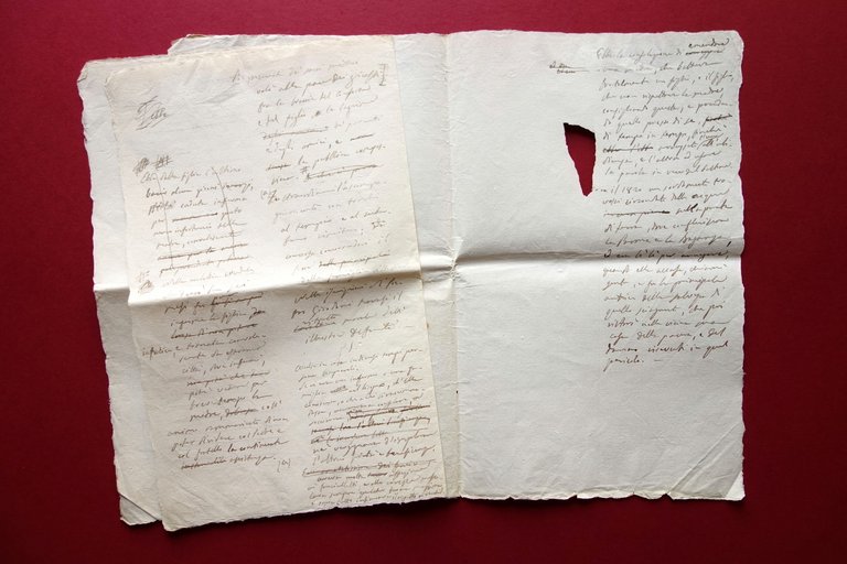 Antonietta Ferroni Tommasini Manoscritto Biografia Necrologia 1839 M. Leoni | Immagine Gallery 5