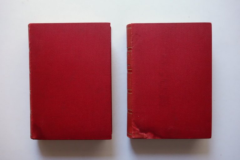 Antonio Stoppani Exemeron Esegesi Storia della Creazione Torino 1893-94 2 …