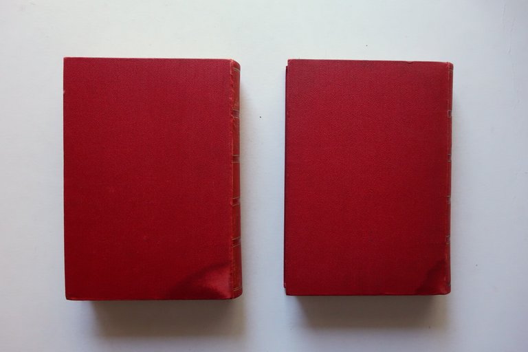 Antonio Stoppani Exemeron Esegesi Storia della Creazione Torino 1893-94 2 …