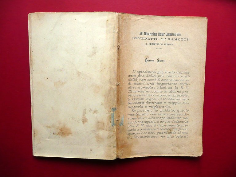 Api Apicoltura Felice Poppi Manuale Libretto 30 Figure Fine Ottocento circa