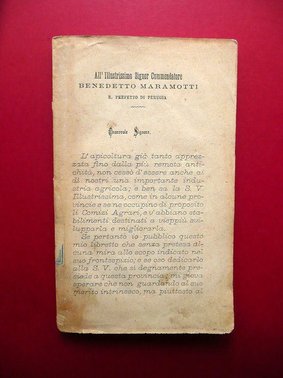 Api Apicoltura Felice Poppi Manuale Libretto 30 Figure Fine Ottocento …