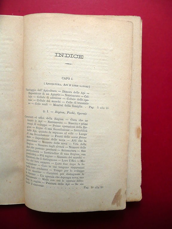 Api Apicoltura Felice Poppi Manuale Libretto 30 Figure Fine Ottocento …