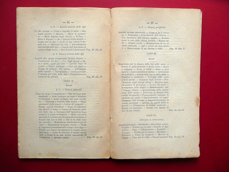 Api Apicoltura Felice Poppi Manuale Libretto 30 Figure Fine Ottocento …