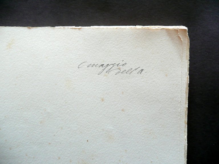 Apulei Liber Codice VIII Secolo Archivio Capitolare Metropolitana di Modena …