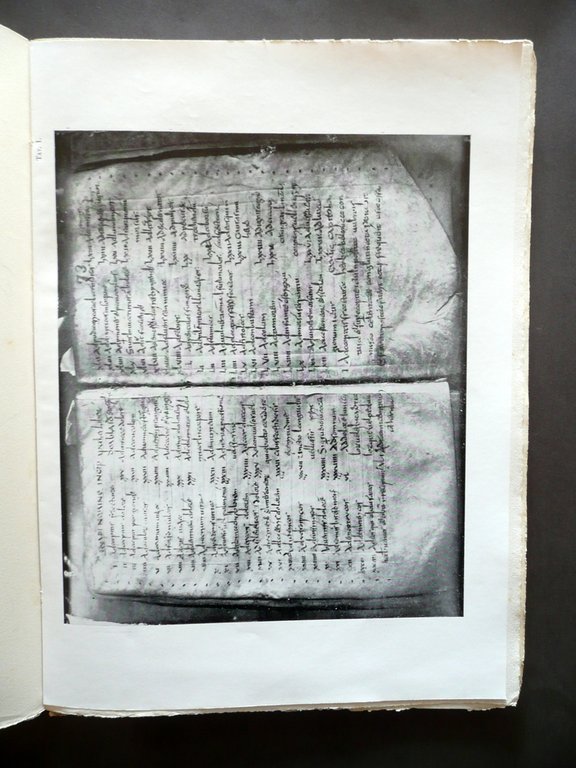 Apulei Liber Codice VIII Secolo Archivio Capitolare Metropolitana di Modena …