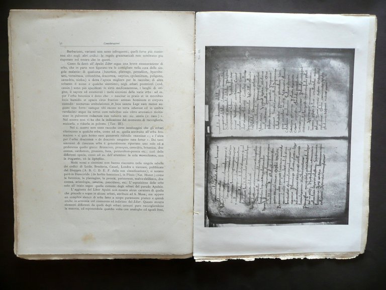 Apulei Liber Codice VIII Secolo Archivio Capitolare Metropolitana di Modena …