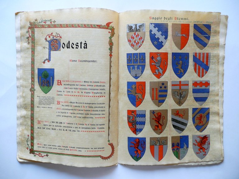 Araldica Famiglia Adorno Genova Podest‡ Ramo Secondogenito Blasoni Stemmi 1900 | Immagine Gallery 3
