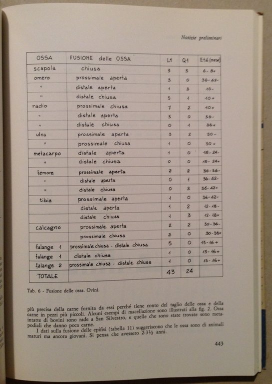 Archeologia Medievale Cultura Materiale Insediamenti All'Insegna Del Giglio 1978