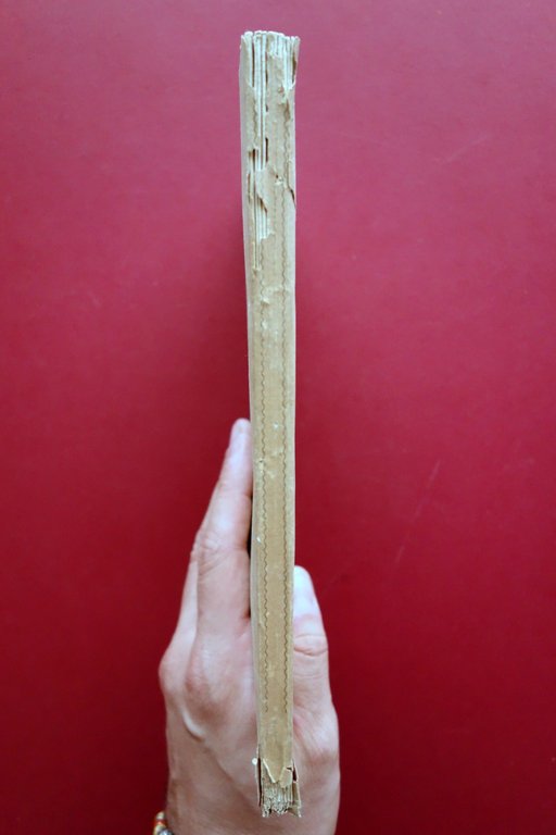 Armonia Considerata come Vera Scienza Bartolomeo Grassi Landi 1881 Musica …