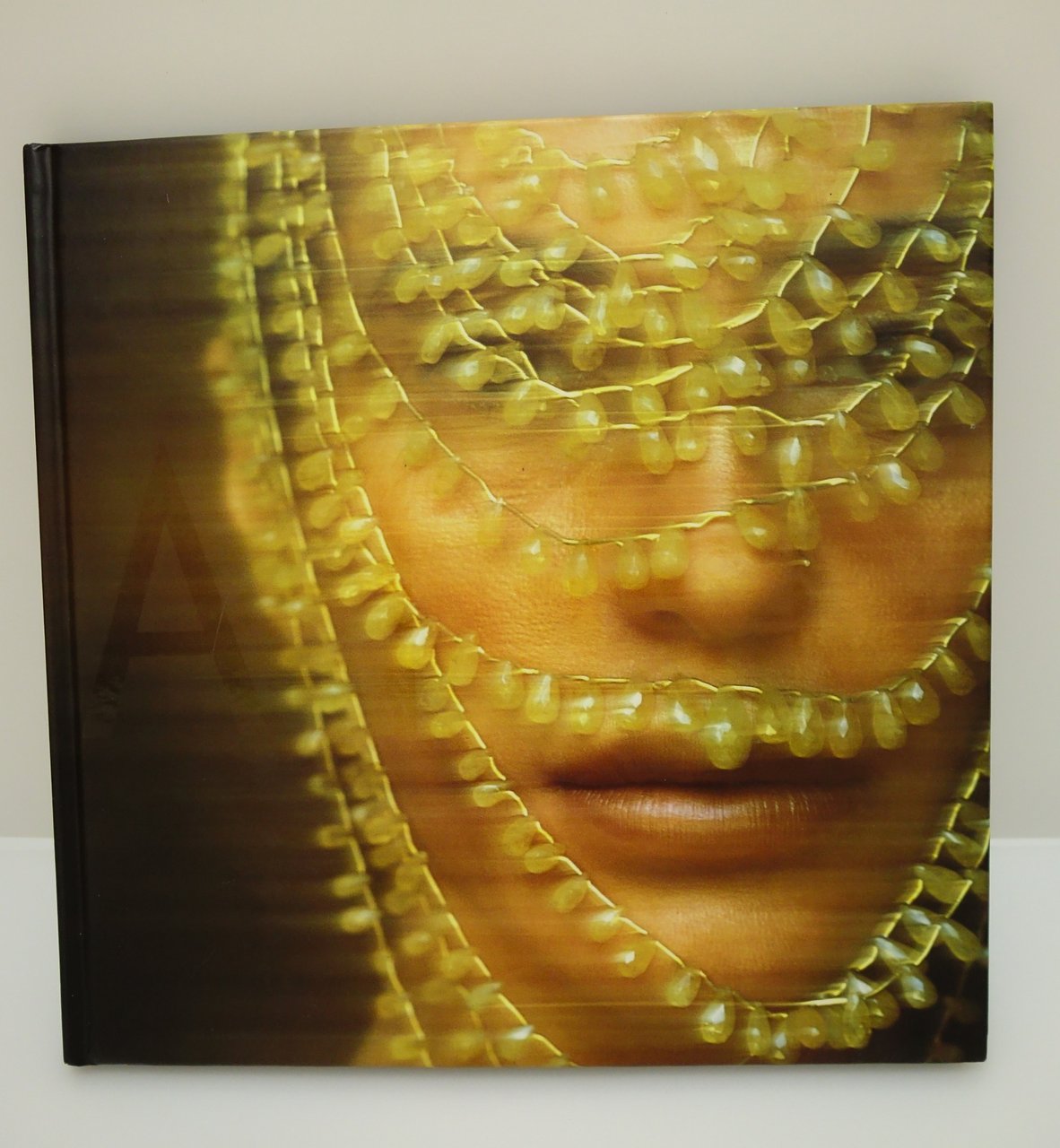 ATEH ANGELA CARUBBA PINTALDI HEINZ SCHNATTER GRIFONI FOTO POESIA MOTTA … | Immagine principale