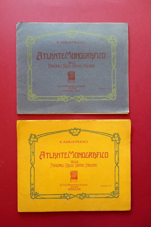 Atlante delle Principali Razze Bovine Italiane Pucci 1914 Tripolitania Cirenaica