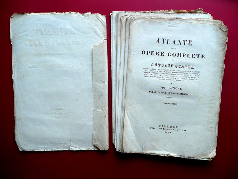 Atlante di Tutte le Opere di Antonio Scarpa Batelli 1836 …