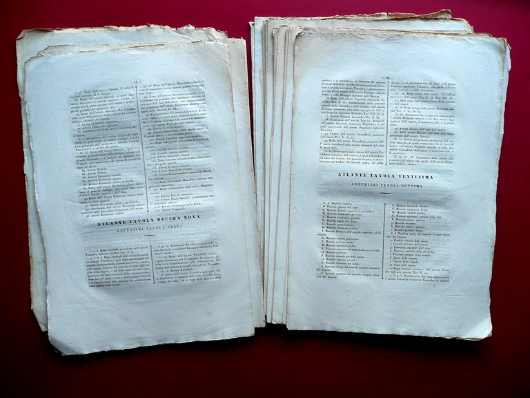 Atlante di Tutte le Opere di Antonio Scarpa Batelli 1836 …