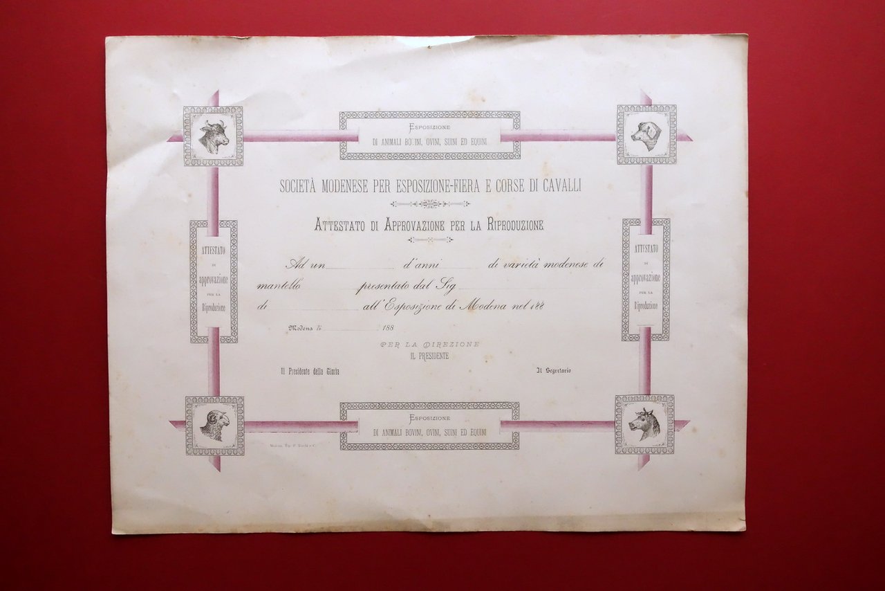 Attestato per Riproduzione Societ‡ Modenese Esposizione Fiera Corse Cavalli '800