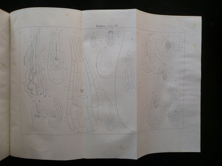 Atti della Ottava Riunione degli Scienziati Italiani Tip. Ferrando Genova …