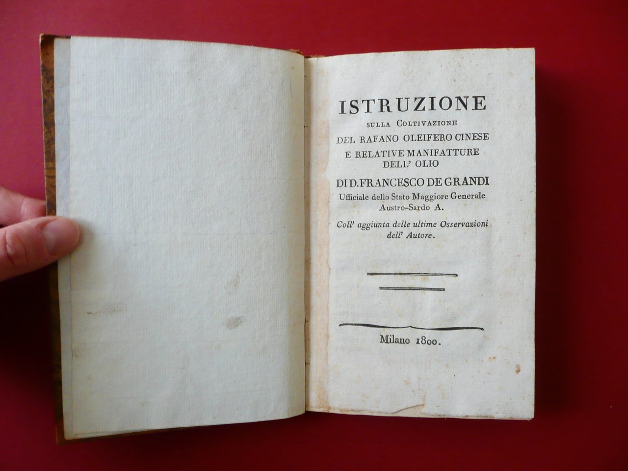 Autografo Alessandro Gandini Brogliaccio Lettera Modena 25/3/1862 Musicista
