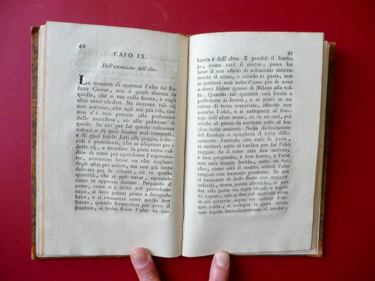 Autografo Alessandro Gandini Brogliaccio Lettera Modena 25/3/1862 Musicista