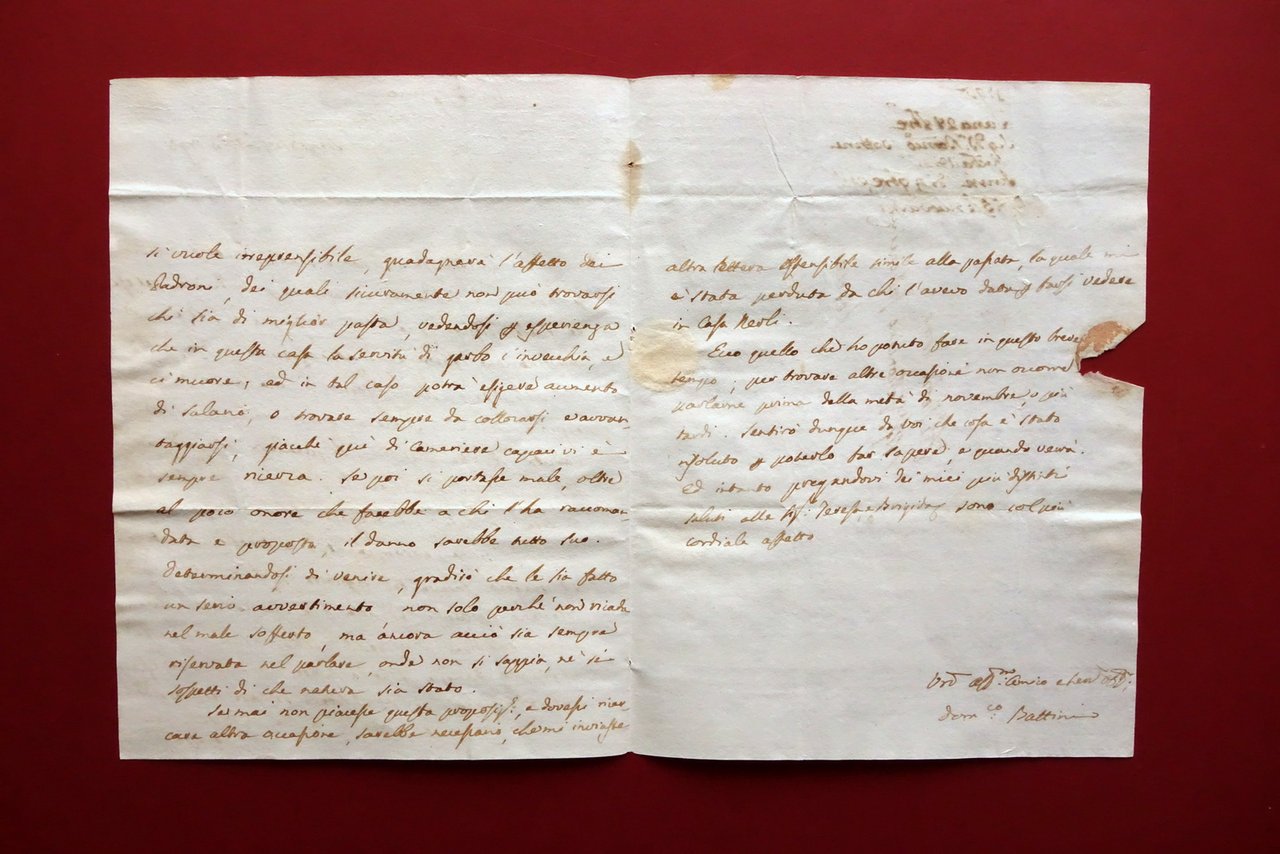 Autografo Domenico Battini Lettera Medico Siena Assunzione di Cameriera 1793 | Immagine principale