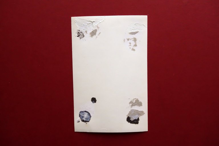 Autografo Elena Rizzieri Soprano Fotografia con Dedica e Firma Lirica … | Immagine Gallery 2