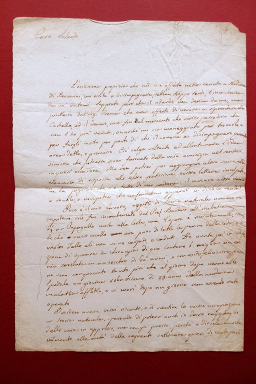 Autografo G. Generali Medico Naturalista Lettera Modena 22/8/1833 Ernia | Immagine Gallery 2