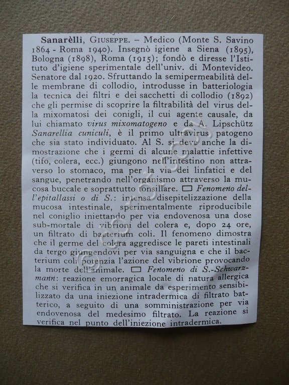 Autografo Giuseppe Sanarelli Lettera Roma 1907 Medicina Igiene Virus Politica