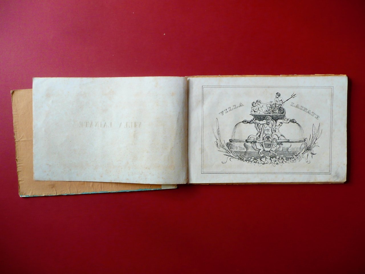 Autografo Gregorio Agnini Lettera Muratori Modena 1918 Morte Figlio in …