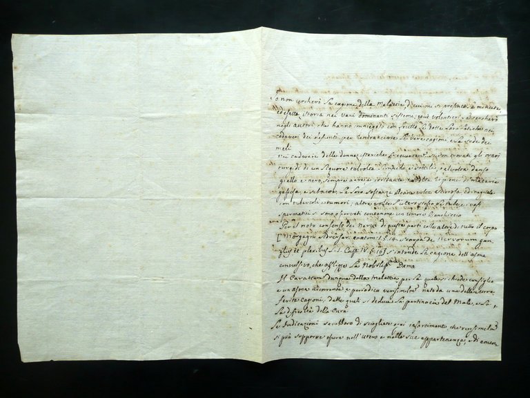 Autografo Lettera Giuseppe Petri Medicina Diagnosi Terapia Nobildonna Primo '800