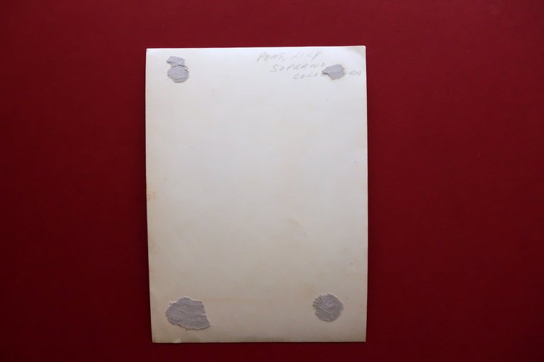 Autografo Lily Pons Grande Fotografia Studio Lorelle Paris Metropolitan Opera | Immagine Gallery 2