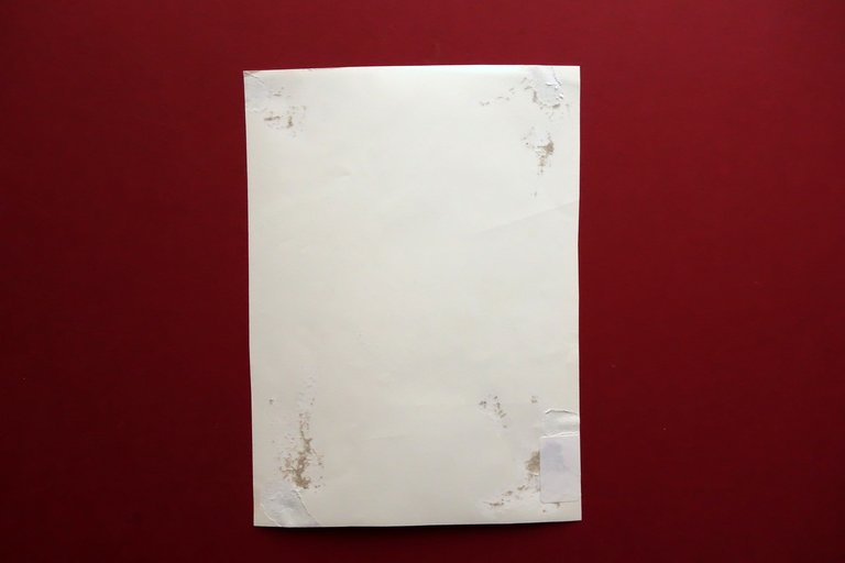 Autografo Montserrat CaballÈ Grande Fotografia Teatro del Liceo Salome 1977 … | Immagine Gallery 2