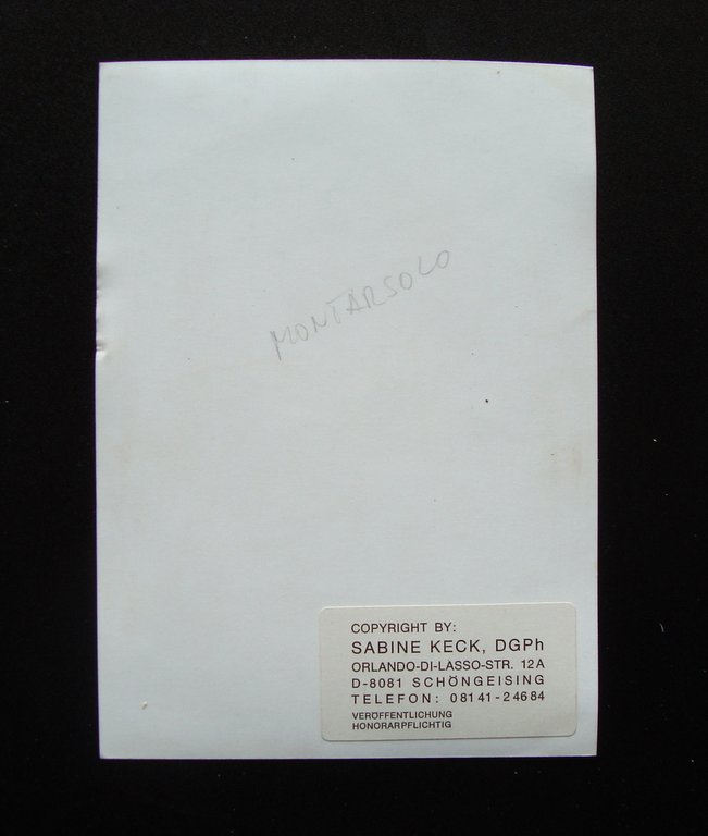 Autografo Paolo Montarsolo Basso Lirica 1985