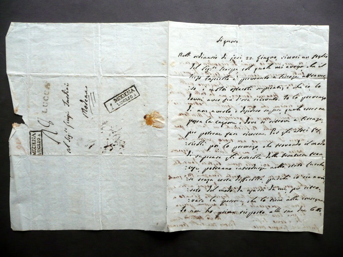 Autografo Pietro Martelli Leonardi Lettera Lucca 1810 Medico Spallanzani Scarpa | Immagine principale