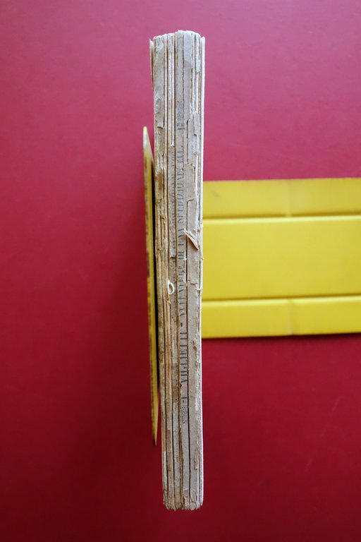 Avventure di una Spedizione alla Colombia C. Viglietti Libreria Salesiana …