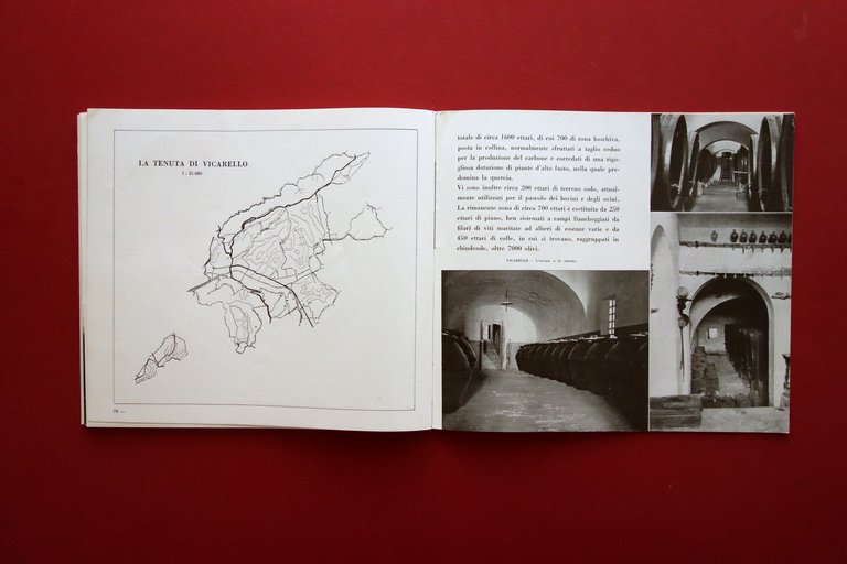 Aziende Agricole delle Assicurazioni Generali di Trieste e Venezia Anni …