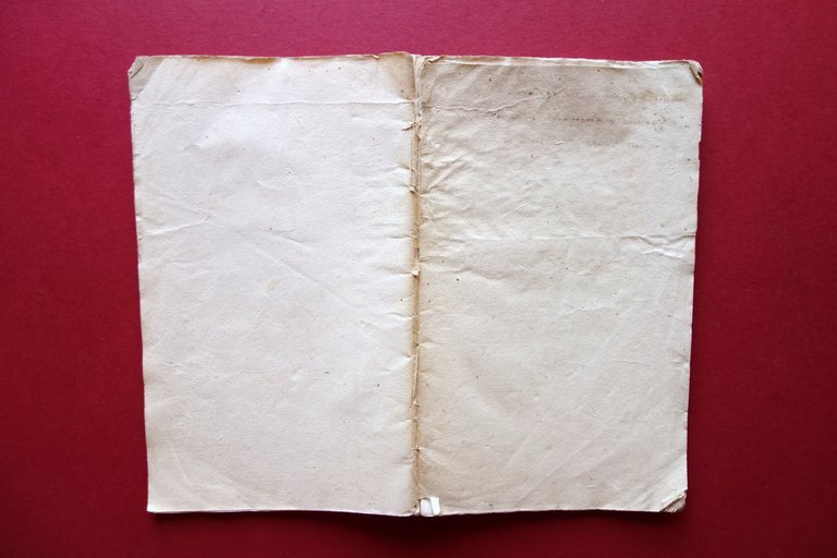 Bagni Termici Aromatici Vaporosi Cura del Cholera Modena '800 Raro … | Immagine Gallery 2