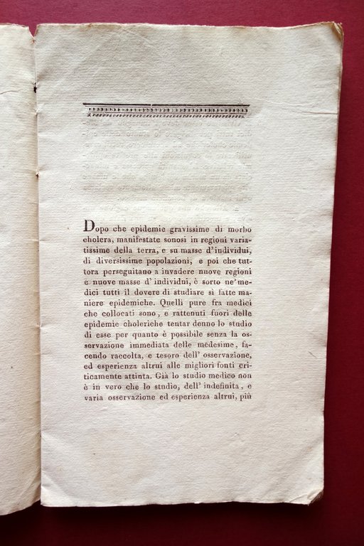 Bagni Termici Aromatici Vaporosi Cura del Cholera Modena '800 Raro … | Immagine Gallery 3