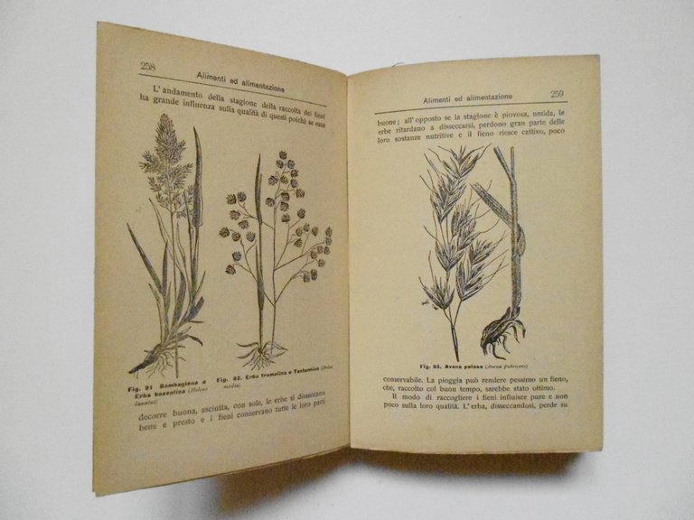 Barpi Antonio Manuale Ad Uso dell'Allevatore E Proprietario di Animali …