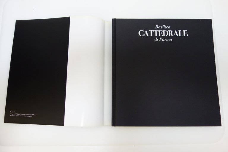 BASILICA CATTEDRALE DI PARMA 900 ANNI DI ARTE, STORIA, FEDE … | Immagine Gallery 4