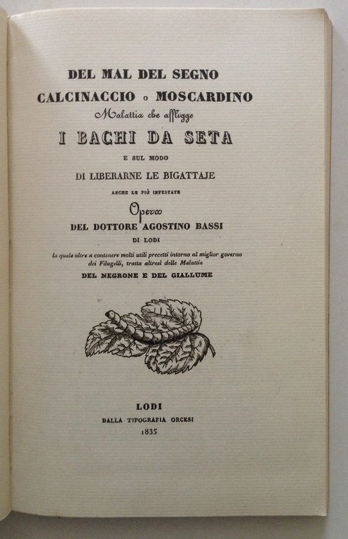 BASSI DEL MAL DEL SEGNO CALCINACCIO O MOSCARDINO MALATTIA CHE …