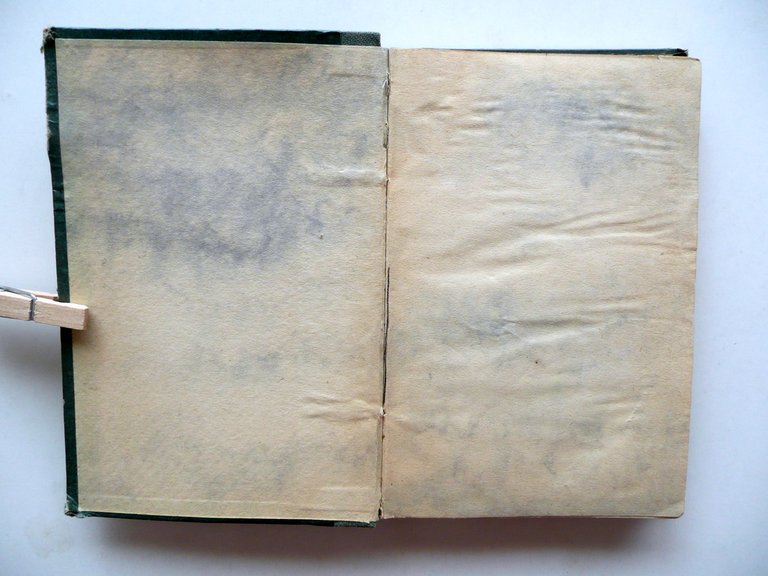 Biblioteca rara Il Raverta Giuseppe Betussi Giambattista Verci Daelli 1864 | Immagine Gallery 4