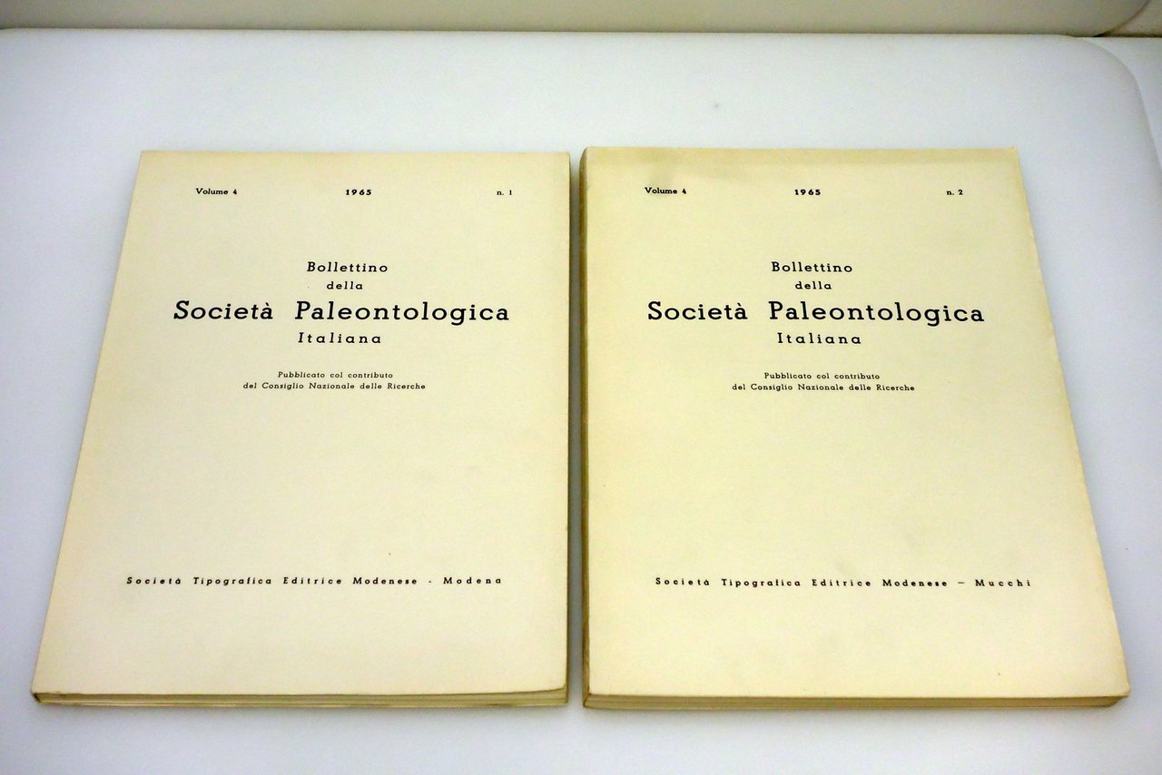 BOLLETTINO SOCIETA' PALEONTOLOGICA ITALIANA STEM ANNATA COMPLETA 1965 | Immagine principale
