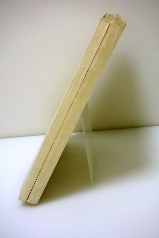 BOLLETTINO SOCIETA' PALEONTOLOGICA ITALIANA STEM ANNATA COMPLETA 1965 | Immagine Gallery 3