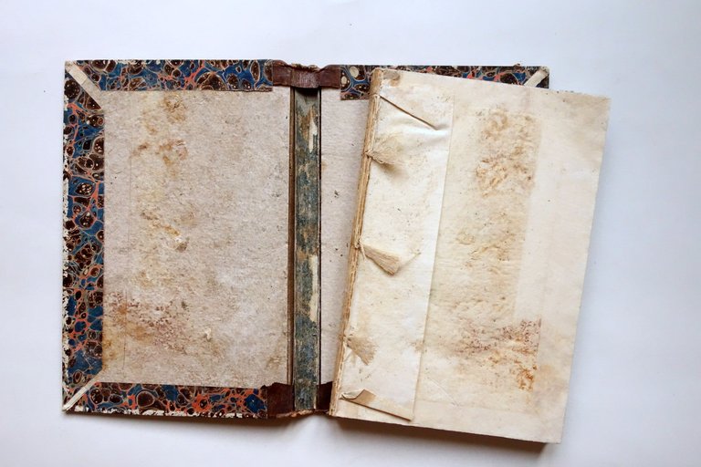 Bolognini Amorini Vita dei Pittori G. Reni D. Zampieri F. …