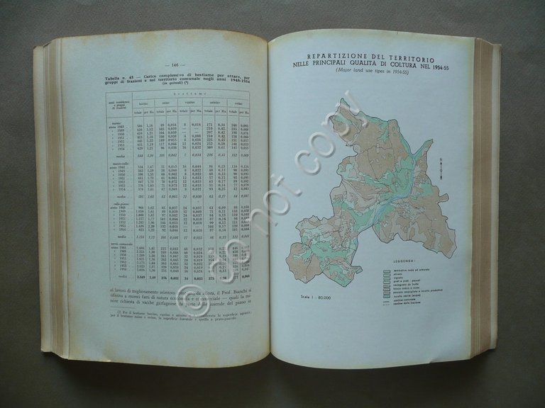 Borgo a Mozzano Lucca Ugo Sgorbi Shell Italiana Genova 1955 …